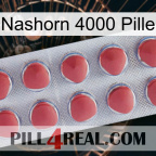 Rhino 4000 Pill 18